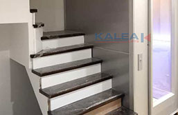 KALEA K500